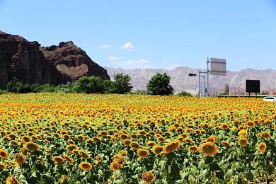 《合金装备4》也有可能重制 但科乐美能做好吗？